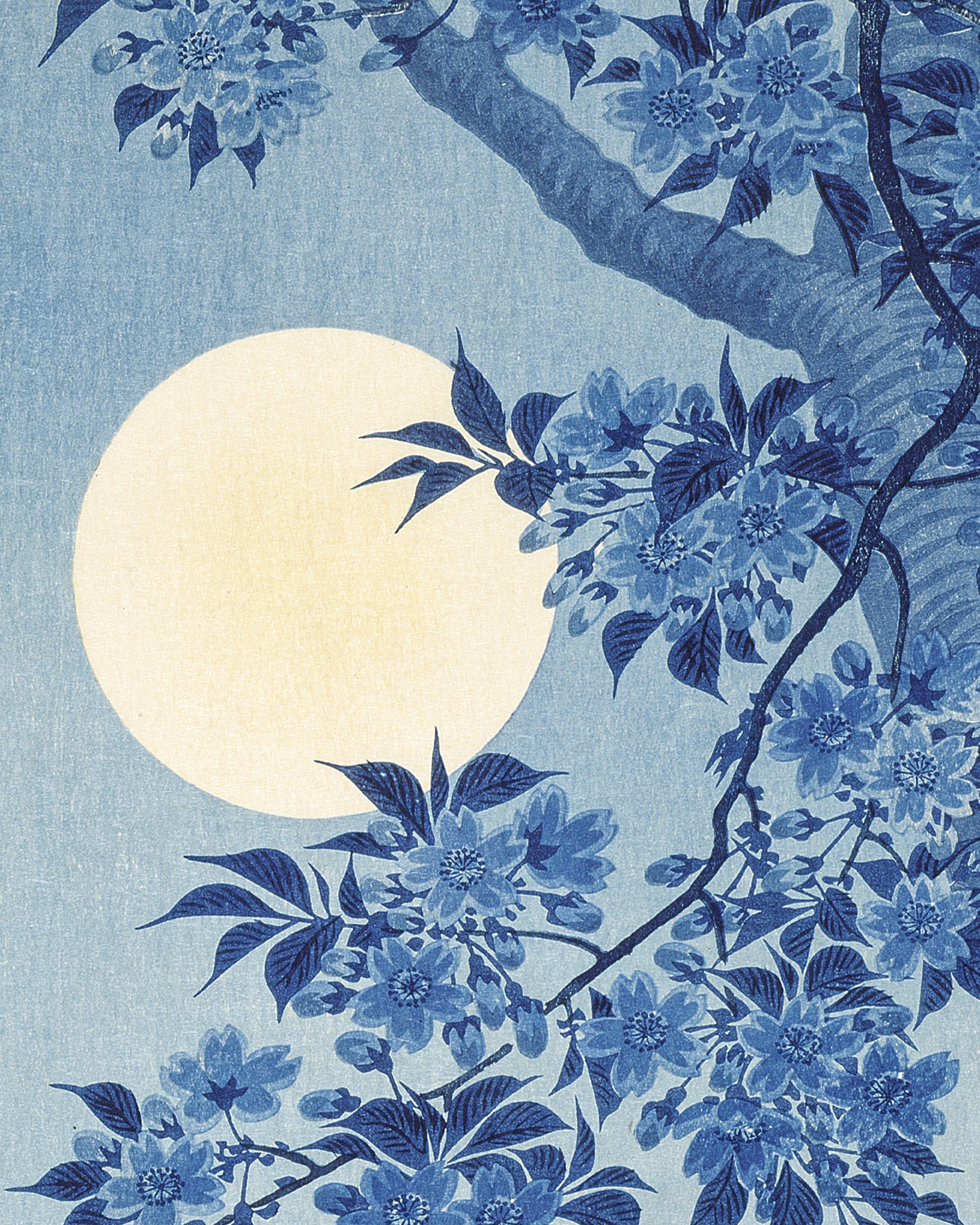 Fioritura di Ciliegio in una Notte di Luna Piena, Ohara Koson Poster