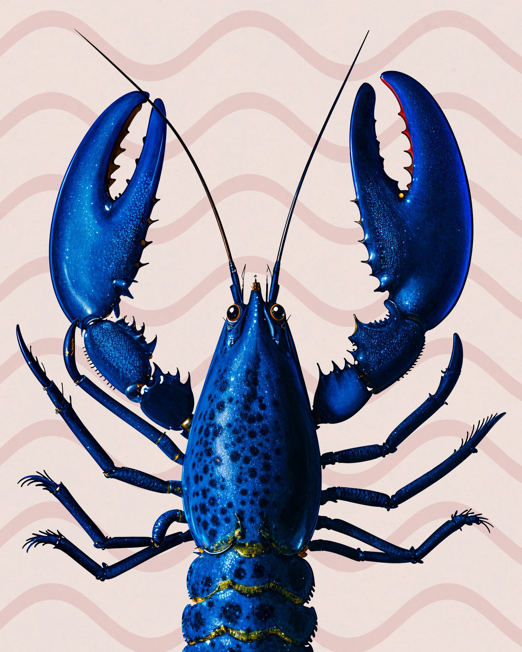 Stampe di aragosta blu