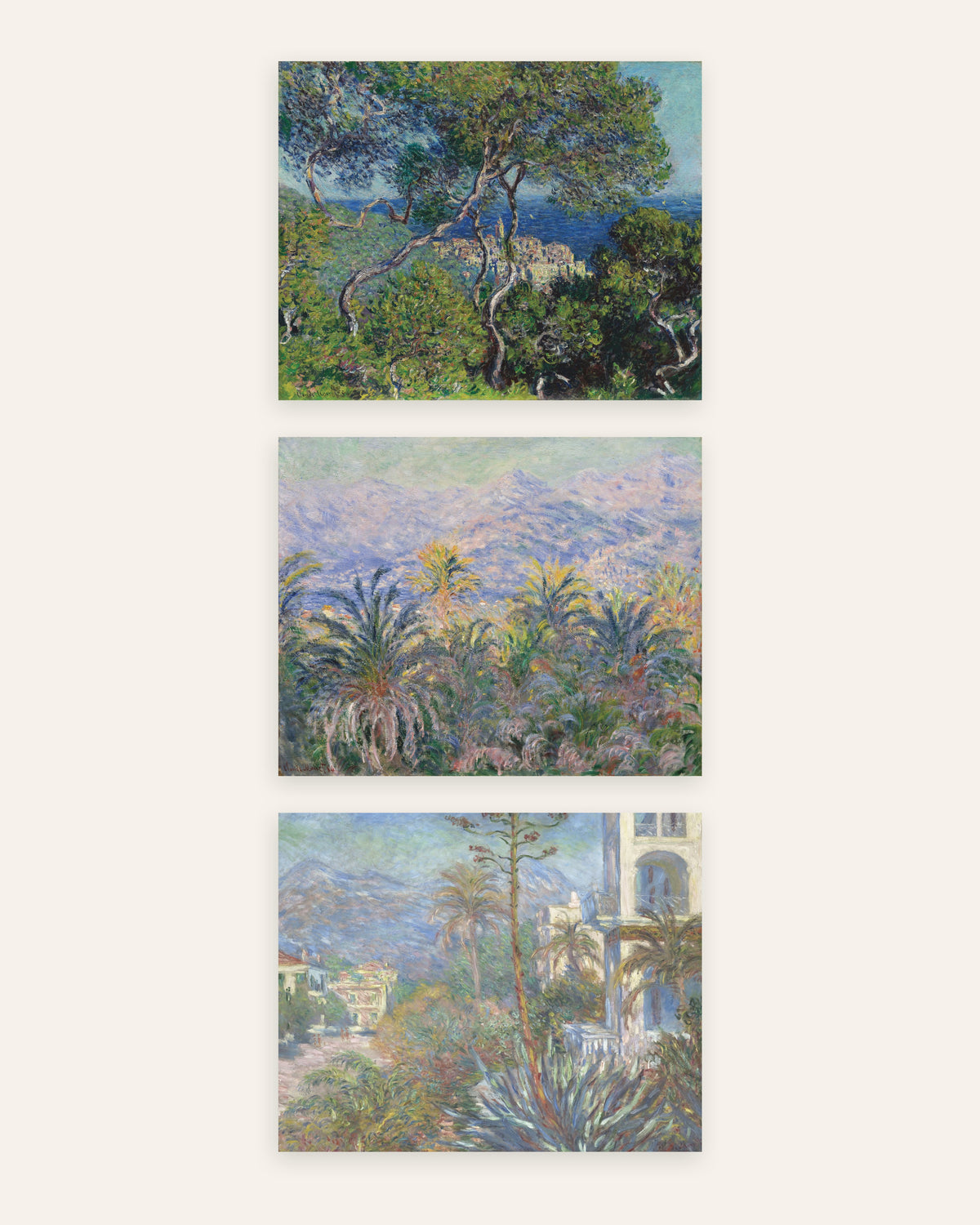 Poster di Monet, set da 3: Bordighera, pini, palme e ville, senza cornice