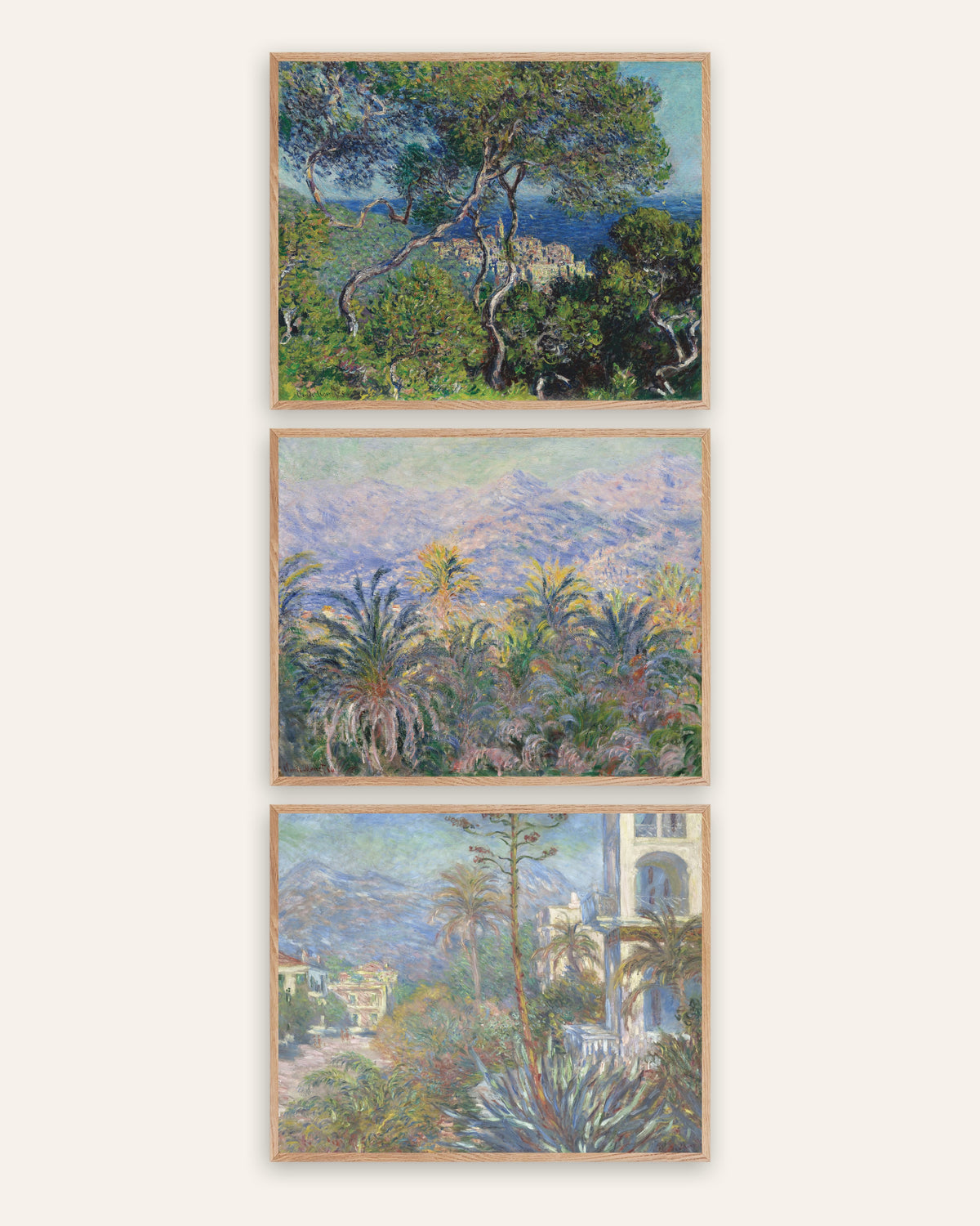 Poster di Monet, set da 3: Bordighera, pini, palme e ville, con cornici in rovere naturale