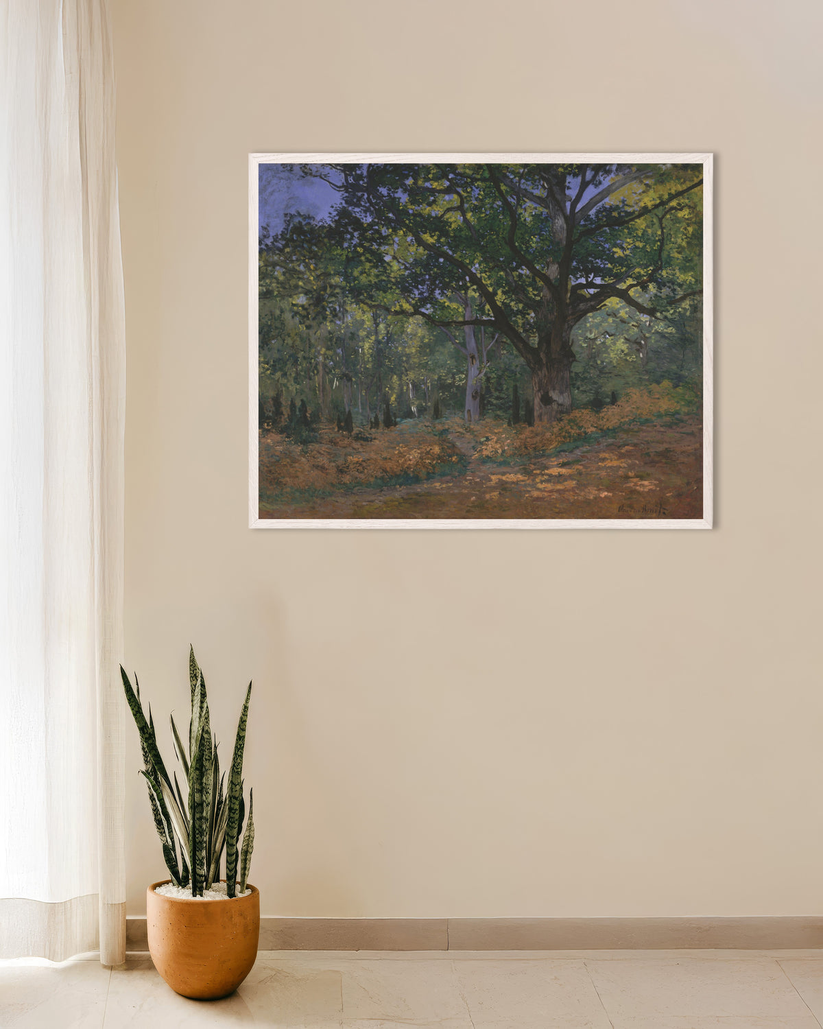 Poster La quercia di Bodmer, foresta di Fontainebleau (1865) di Claude Monet con cornice in legno bianco