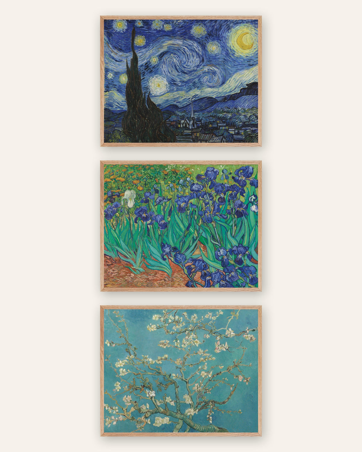 Poster Van Gogh, set da 3: Notte stellata, Iris e Ramo di mandorlo in fiore, con cornici in rovere naturale