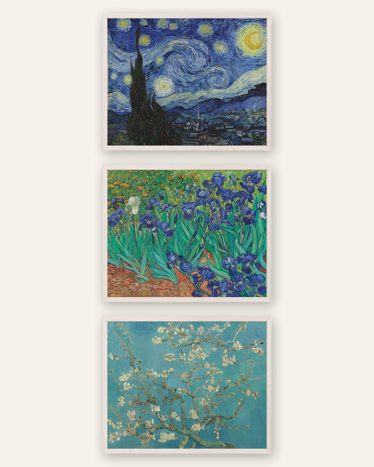 Poster Van Gogh, set da 3: Notte stellata, Iris e Ramo di mandorlo in fiore, con cornici in rovere bianco