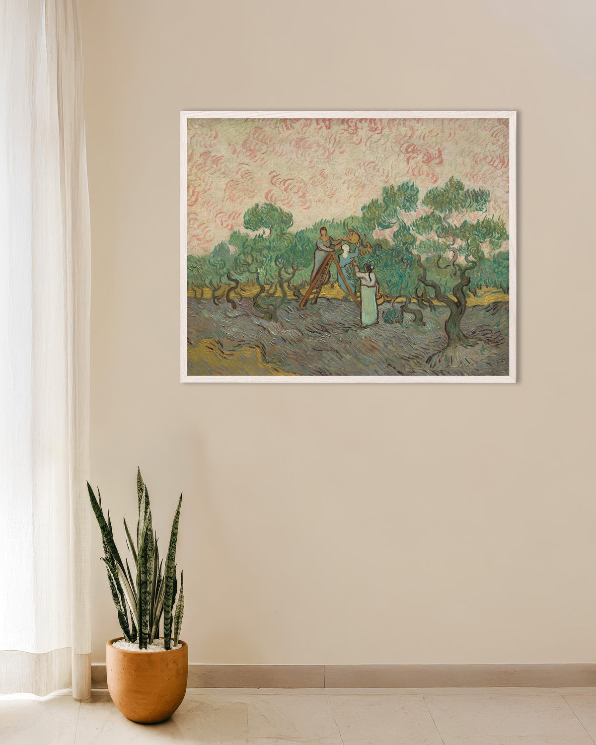 Poster di Donne che raccolgono olive (1889) di Vincent van Gogh, con cornice in legno bianco