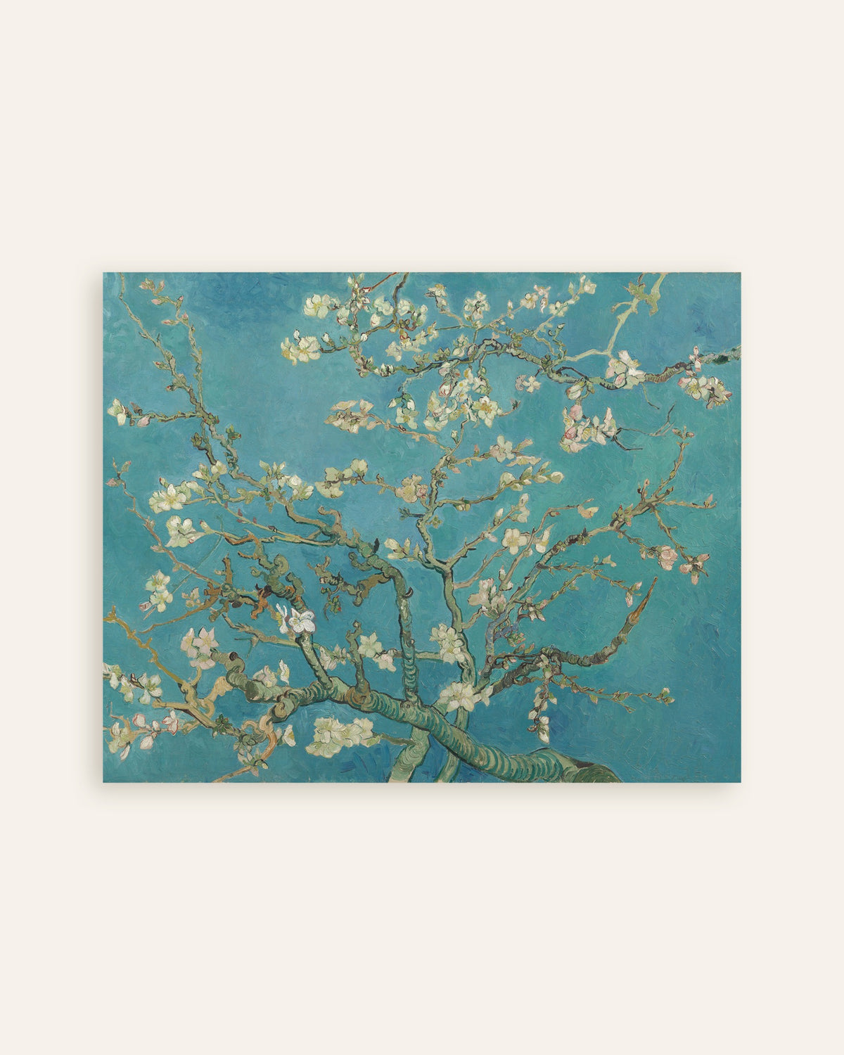 Poster di Ramo di mandorlo in fiore (1890) di Vincent van Gogh, miniatura