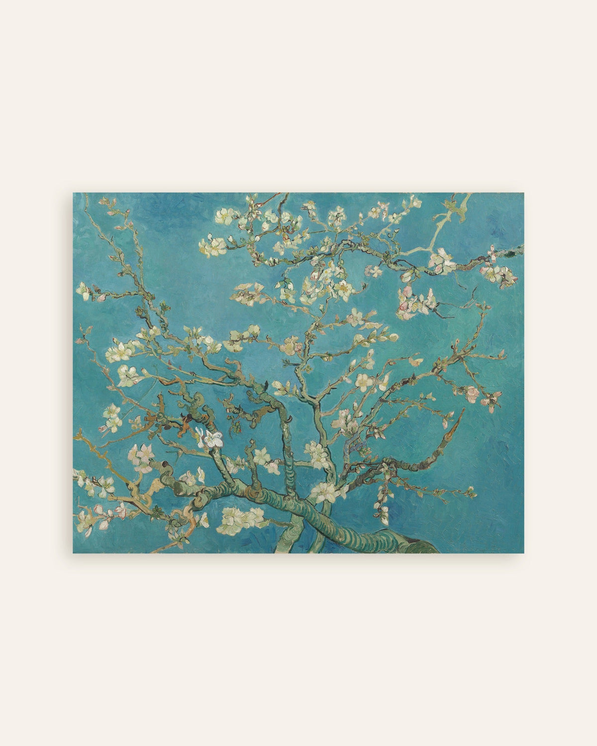 Poster di Ramo di mandorlo in fiore (1890) di Vincent van Gogh, miniatura