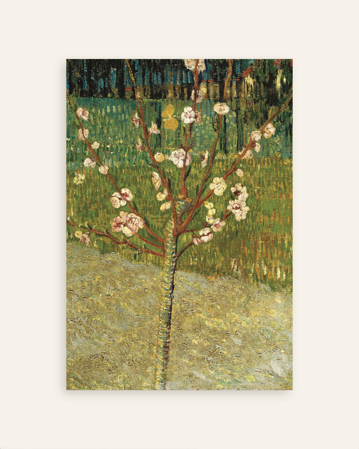 Poster di Mandorlo in fiore (1888) di Vincent van Gogh, miniatura
