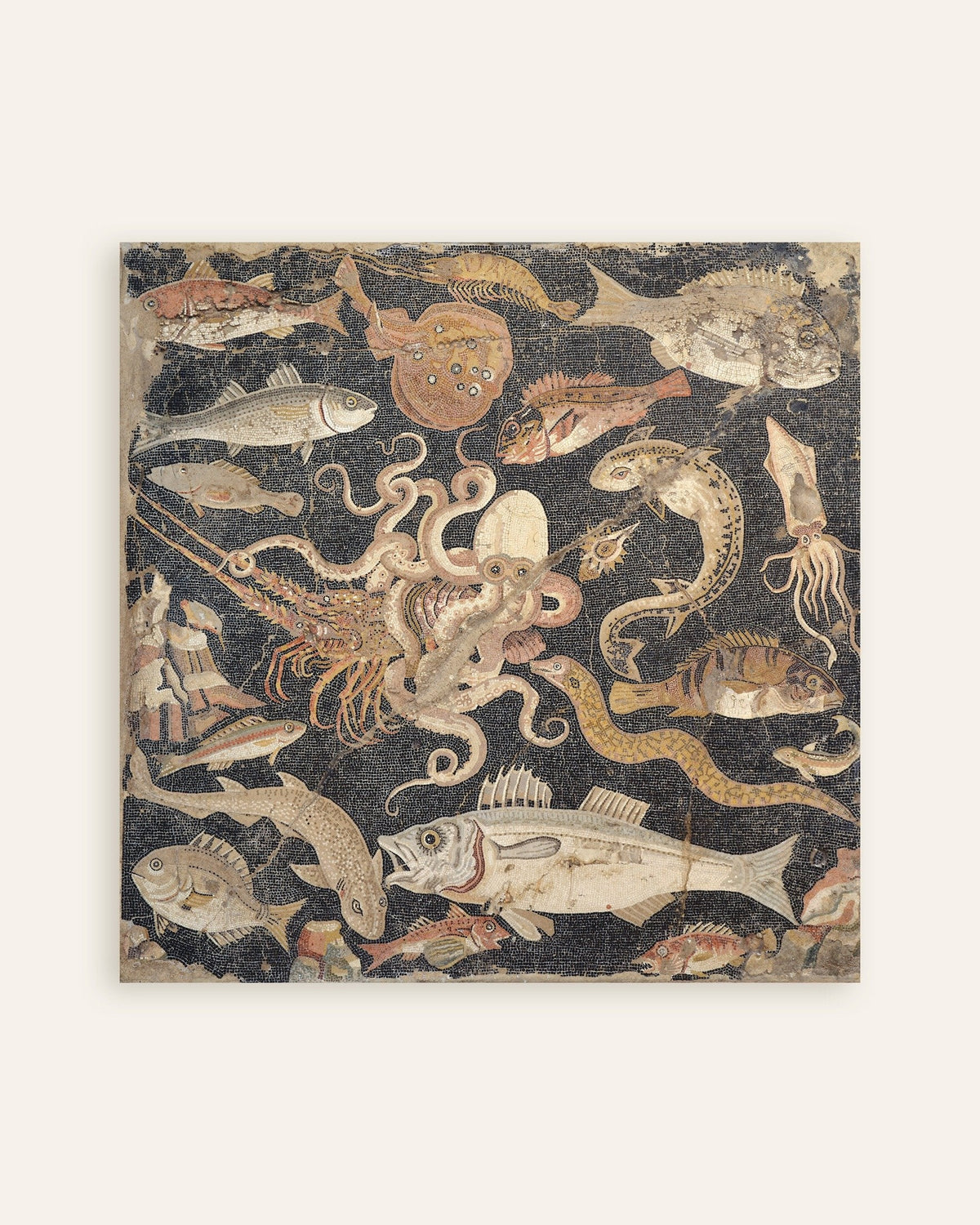 Poster del mosaico dei pesci di Pompei, fauna marina romana