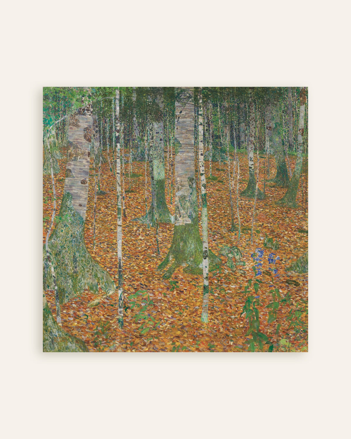 Poster Bosco di betulle (1903) di Gustav Klimt, miniatura