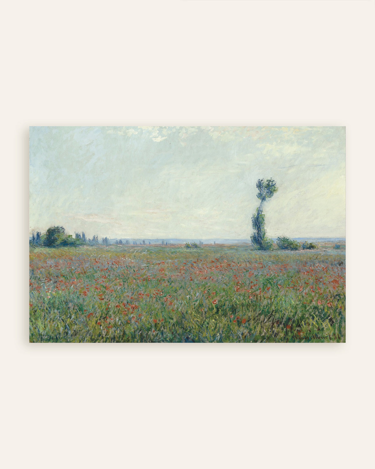 Poster Campo di papaveri di Claude Monet, miniatura