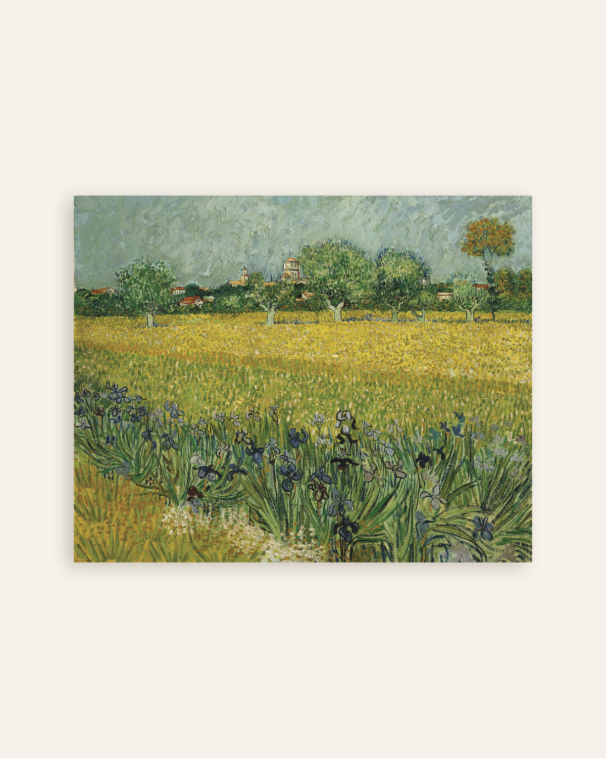 Poster di Campo di iris vicino ad Arles (1888) di Vincent van Gogh, miniatura