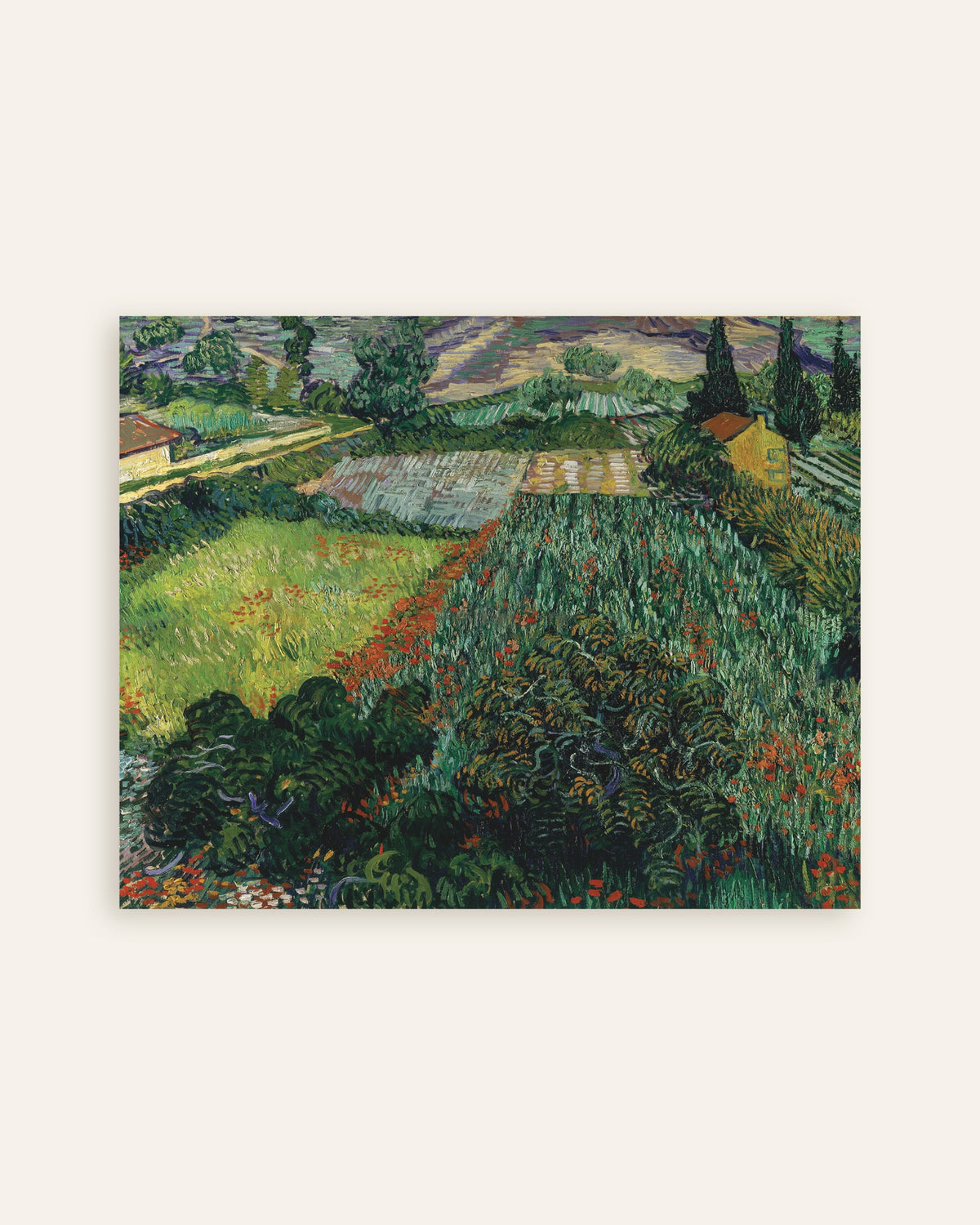 Poster di Campo di papaveri (1889) di Vincent van Gogh, miniatura