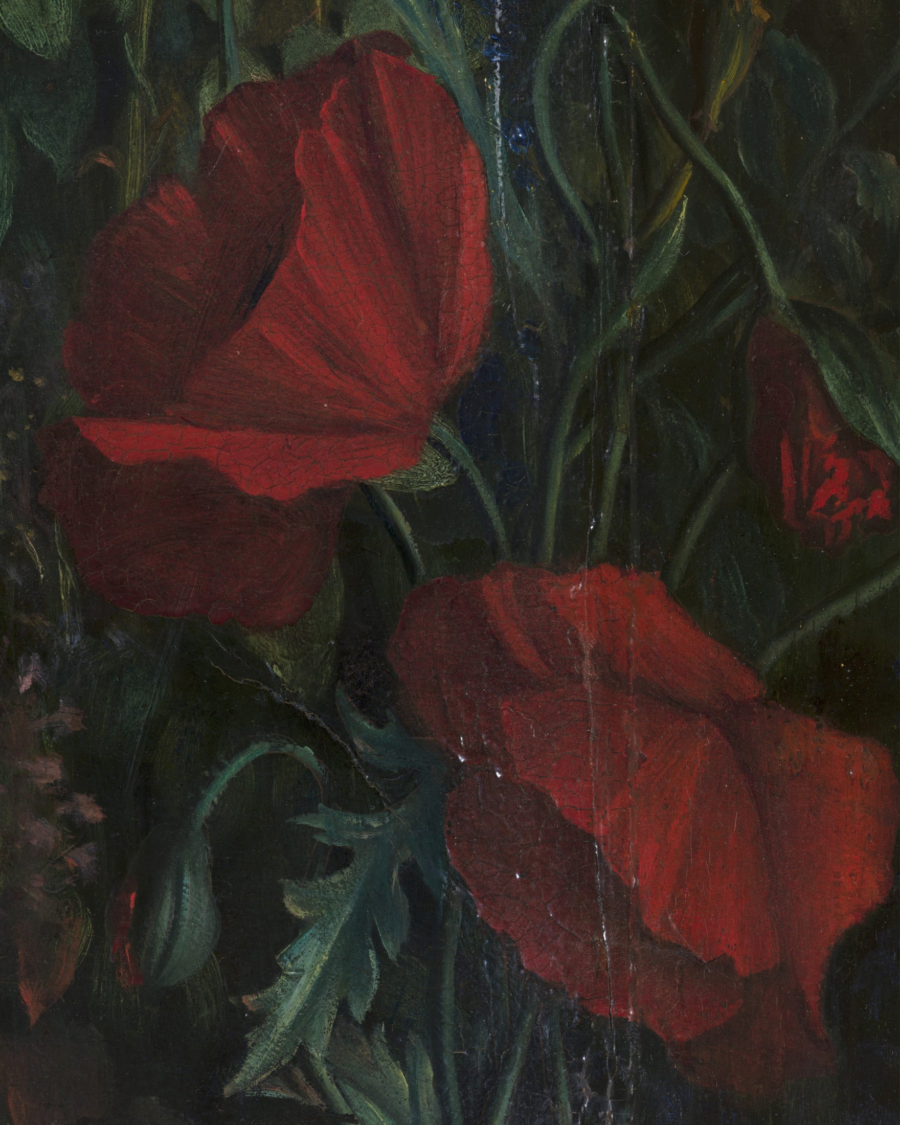 Louis Janmot "Fleur des Champs" Dettaglio della Mano - Stampe di Tulipani Rossi