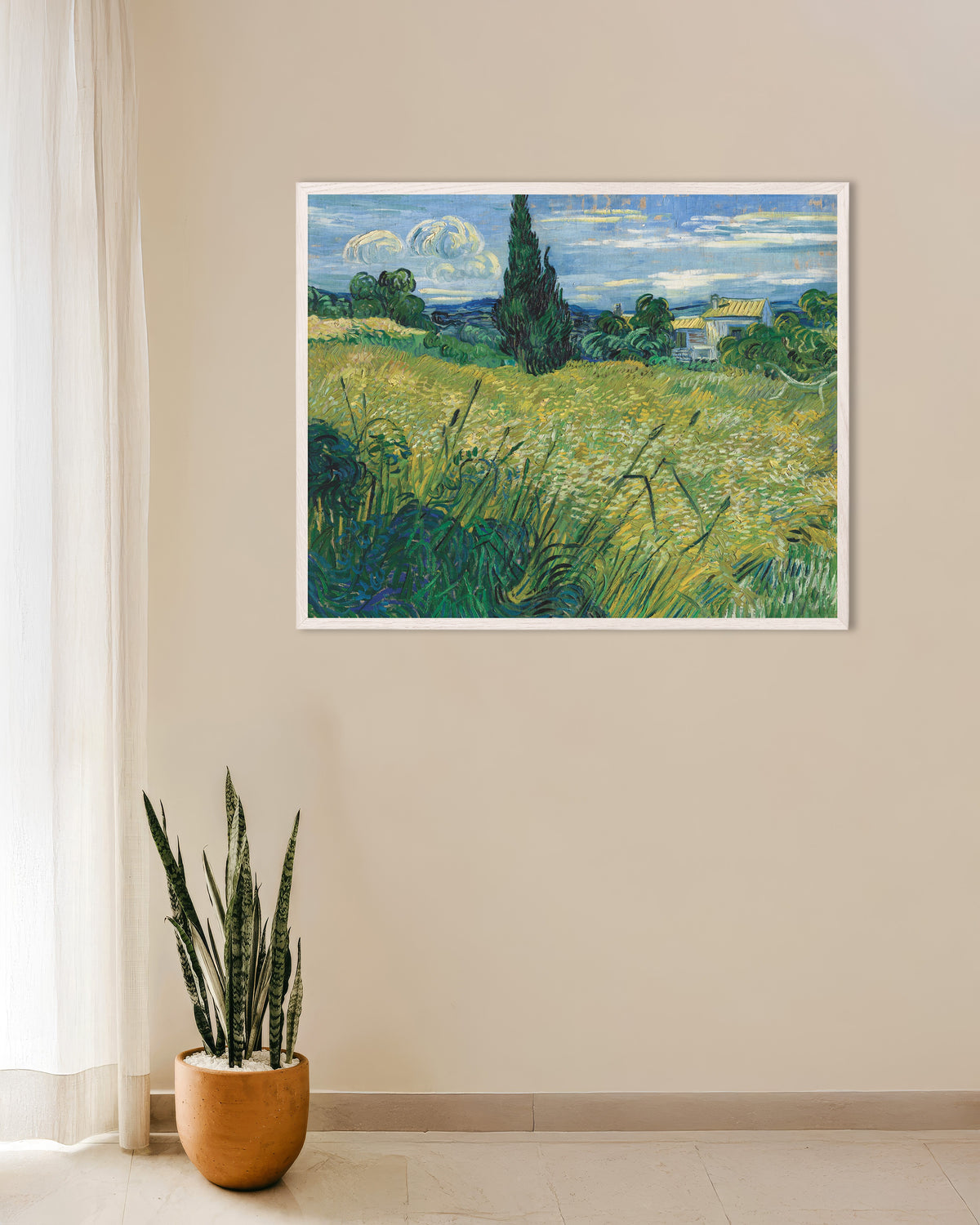 Poster di Campo di grano verde con cipresso (1889) di Vincent van Gogh, con cornice in legno bianco