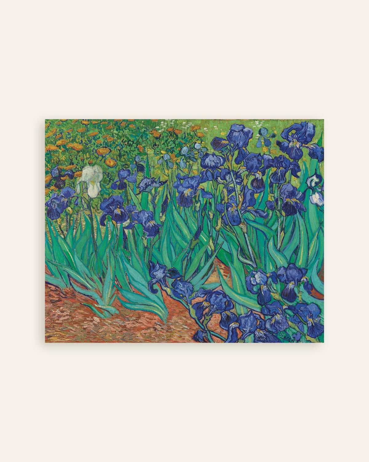 Poster di Iris (1889) di Vincent van Gogh, miniatura