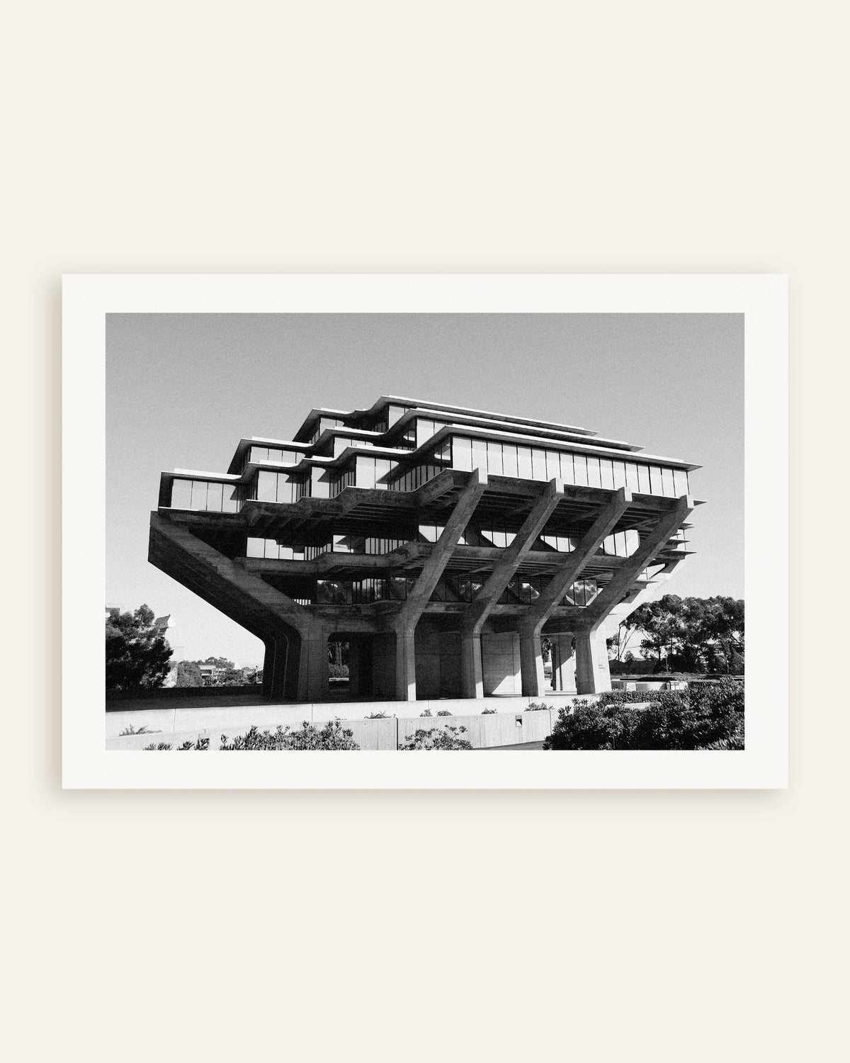 Poster «Biblioteca su pilastri di cemento», miniatura