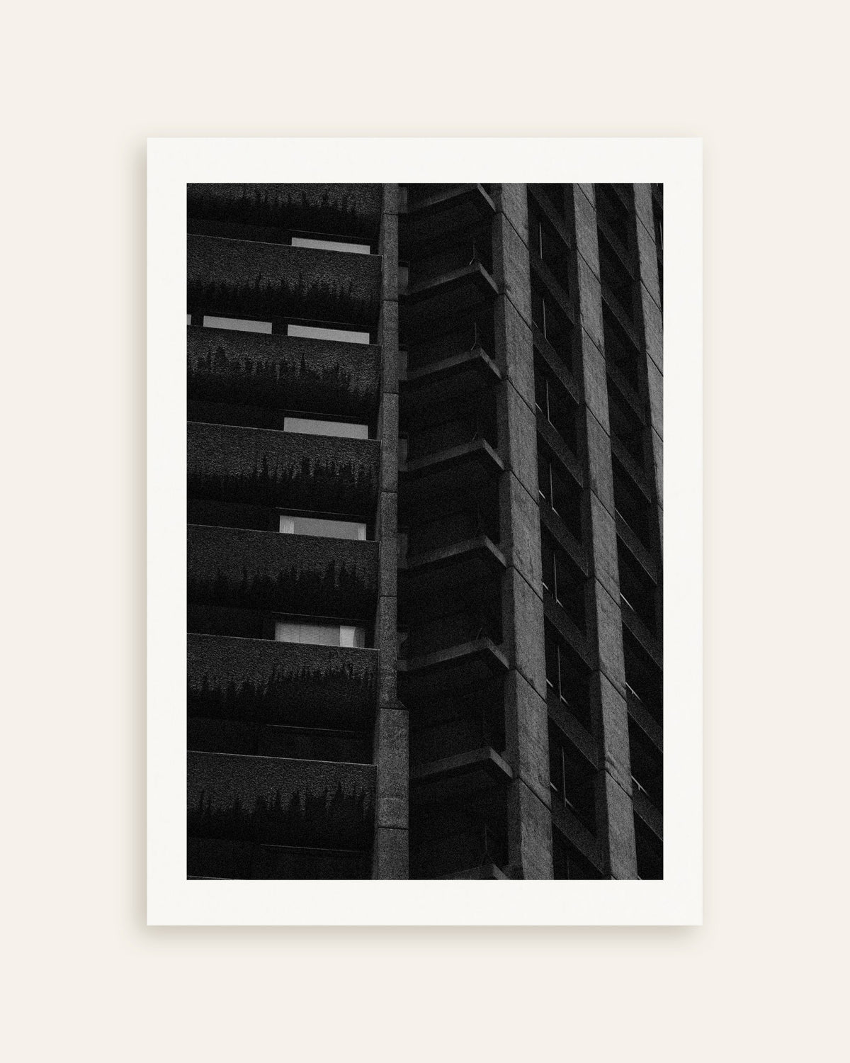 Poster «Facciata notturna con piante sospese», miniatura