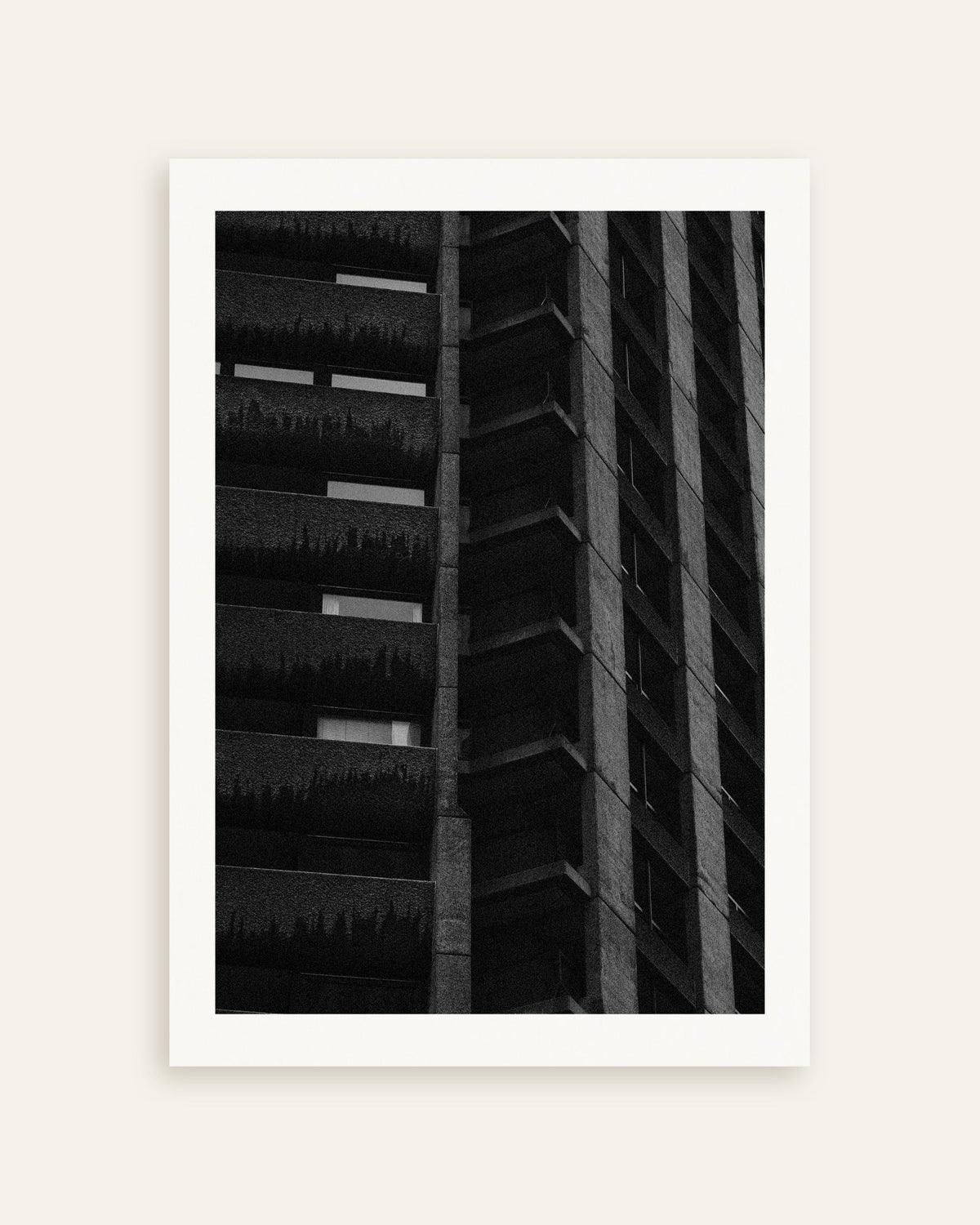 Poster «Facciata notturna con piante sospese», miniatura