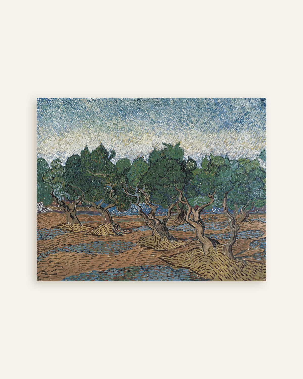 Poster di Uliveto (1889) di Vincent van Gogh, miniatura