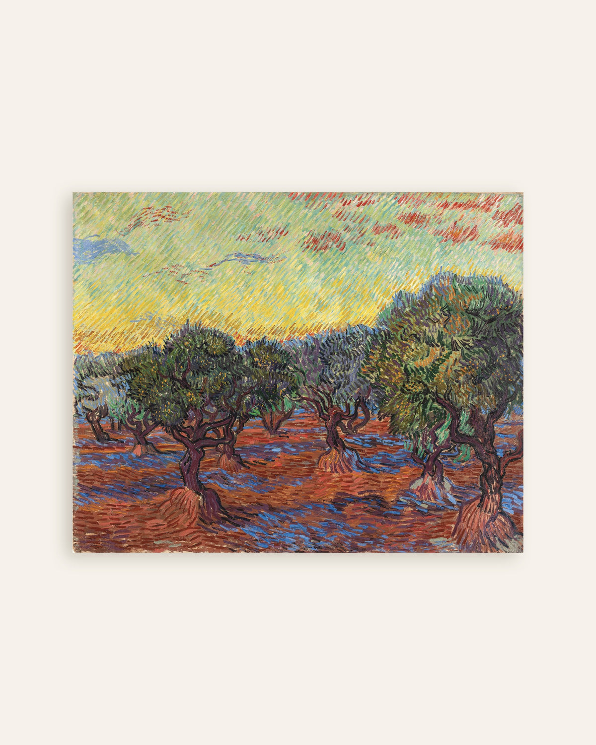 Poster di Uliveto con cielo arancione (1889) di Vincent van Gogh, miniatura