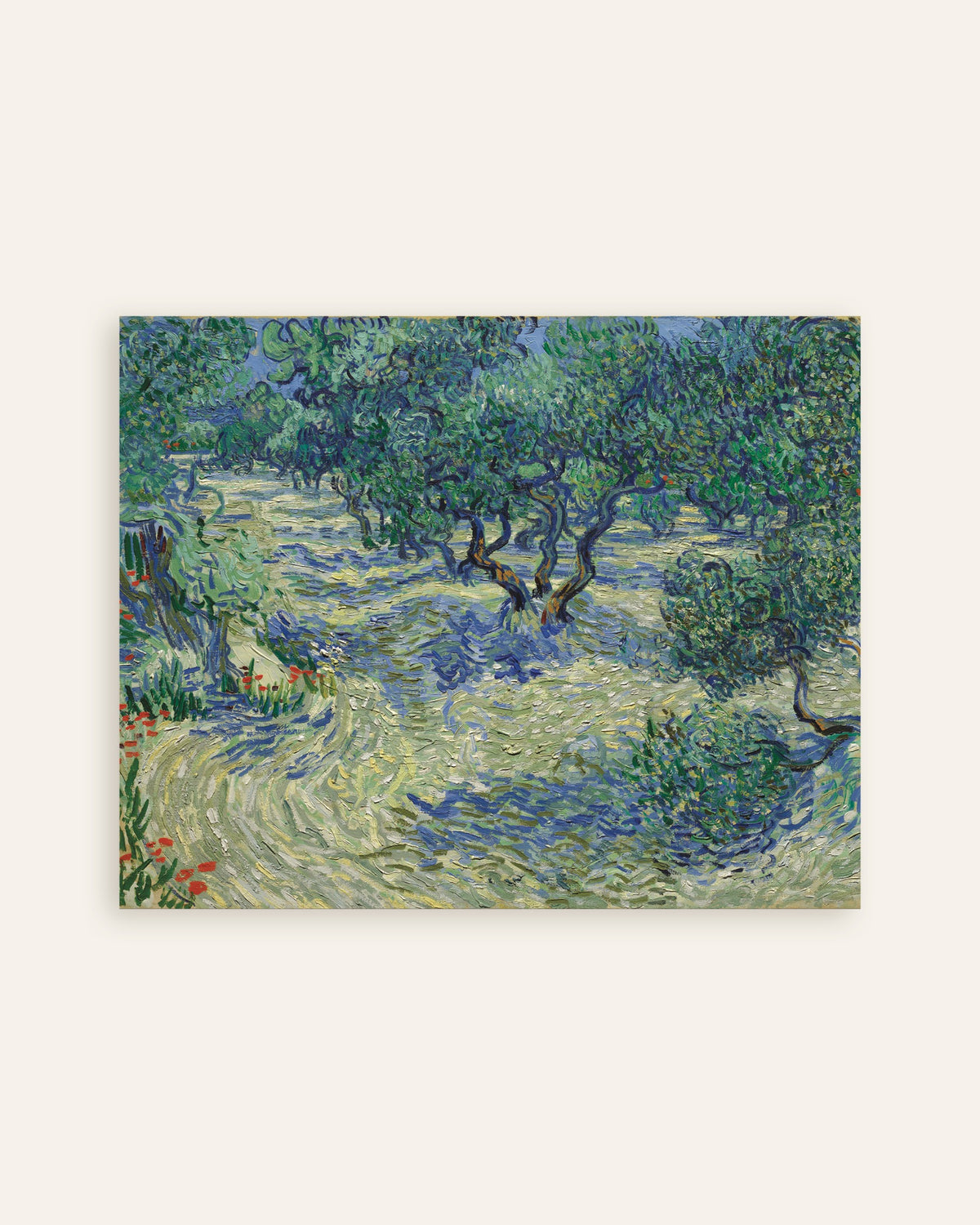Poster di Uliveto (1889) di Vincent van Gogh, miniatura