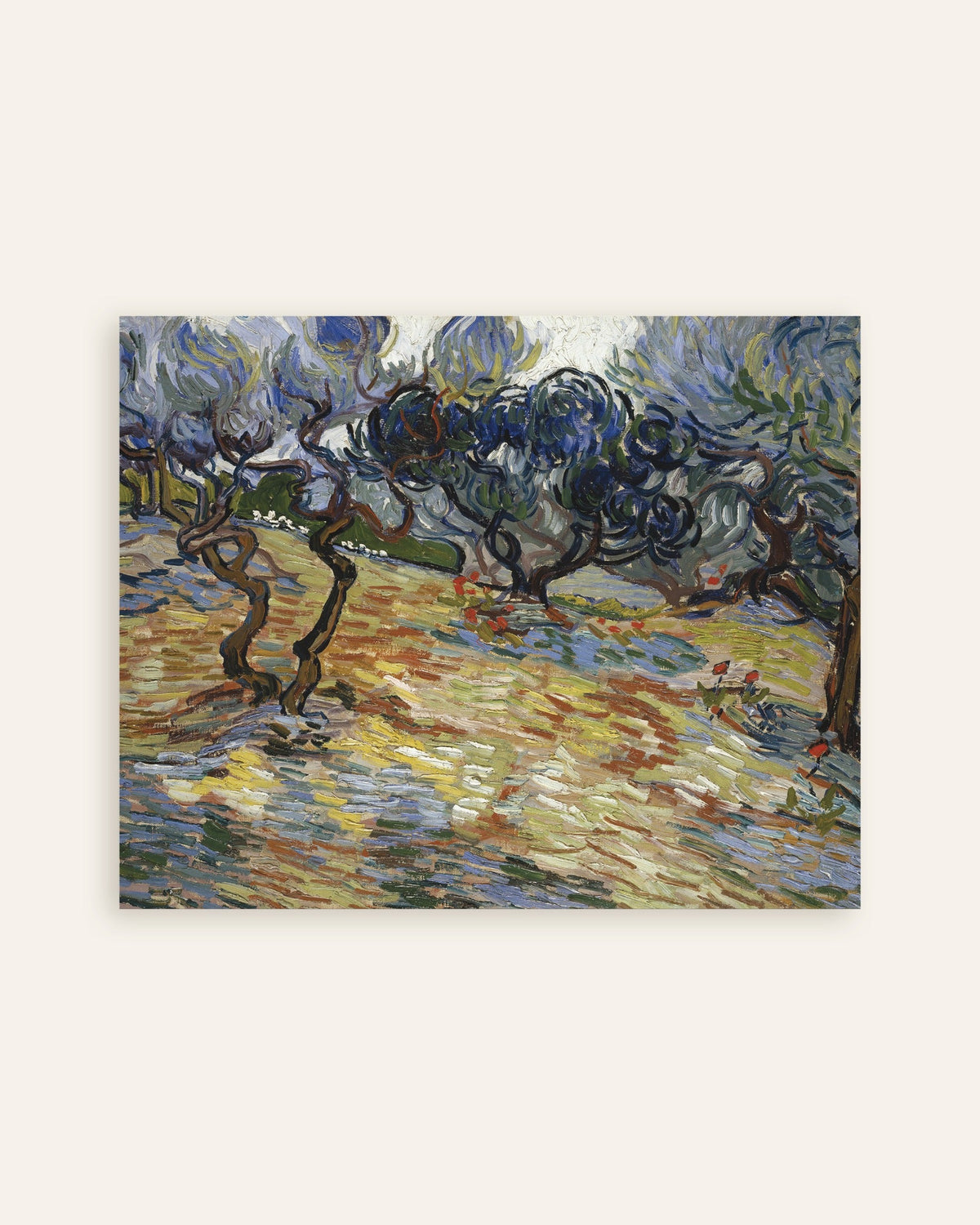 Miniatura del poster Ulivi (1889) di Vincent van Gogh