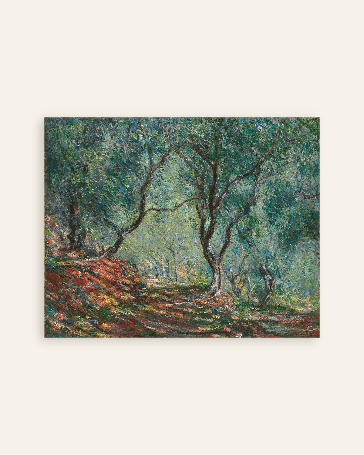 Poster Uliveto nel giardino Moreno (1884) di Claude Monet, miniatura
