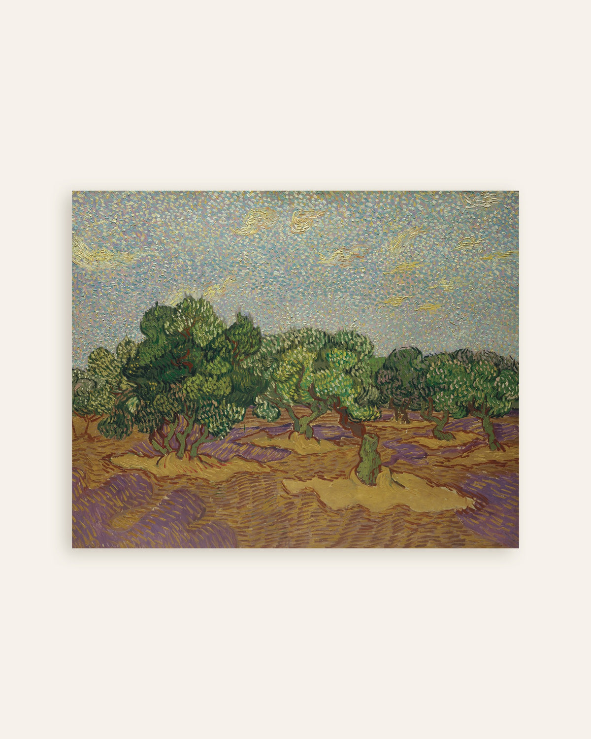 Poster di Ulivi sotto un cielo pallido (1889) di Vincent van Gogh, miniatura