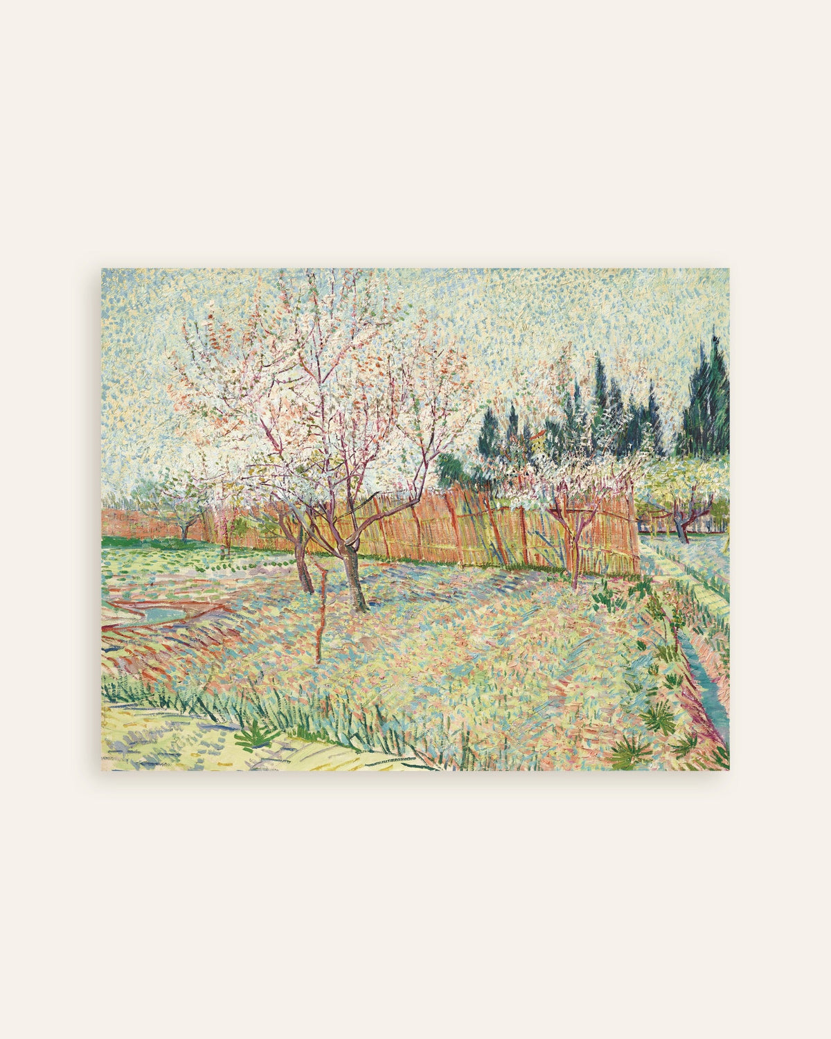 Poster di Frutteto delimitato da cipressi (1888) di Vincent van Gogh, miniatura
