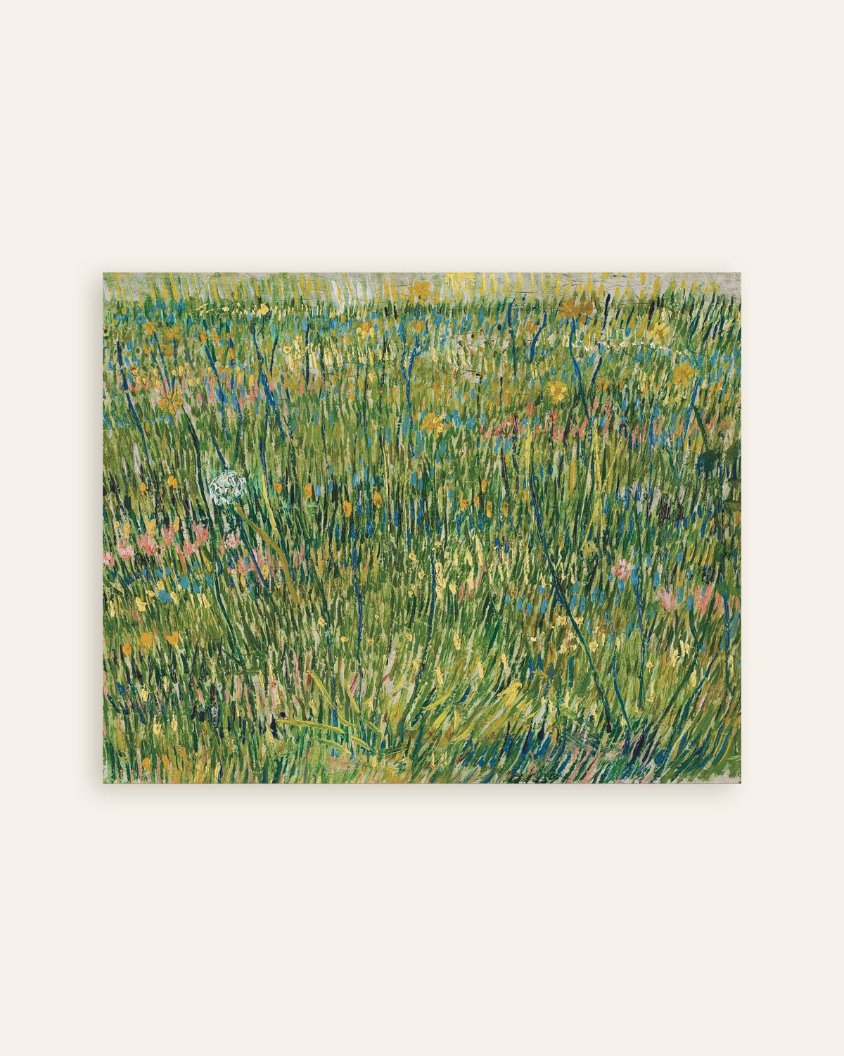 Poster di Ciuffo d’erba (1887) di Vincent van Gogh, miniatura