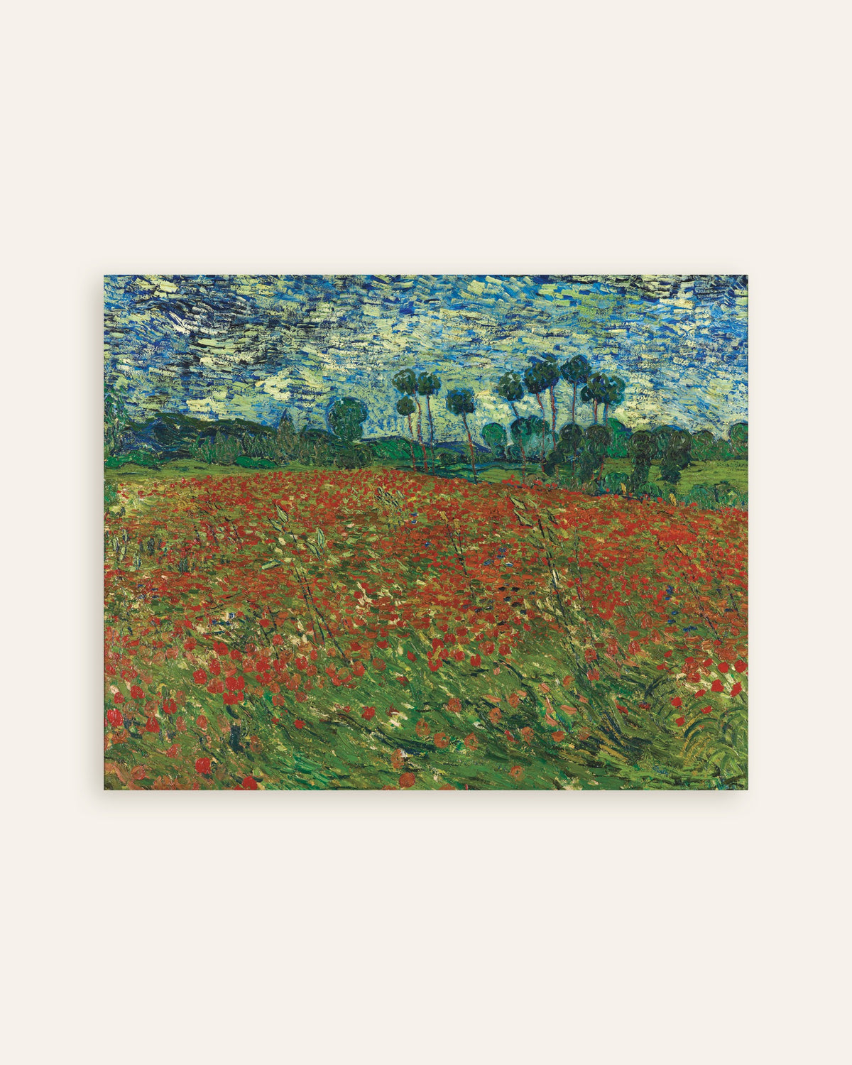 Poster di Campo di papaveri (1890) di Vincent van Gogh, miniatura