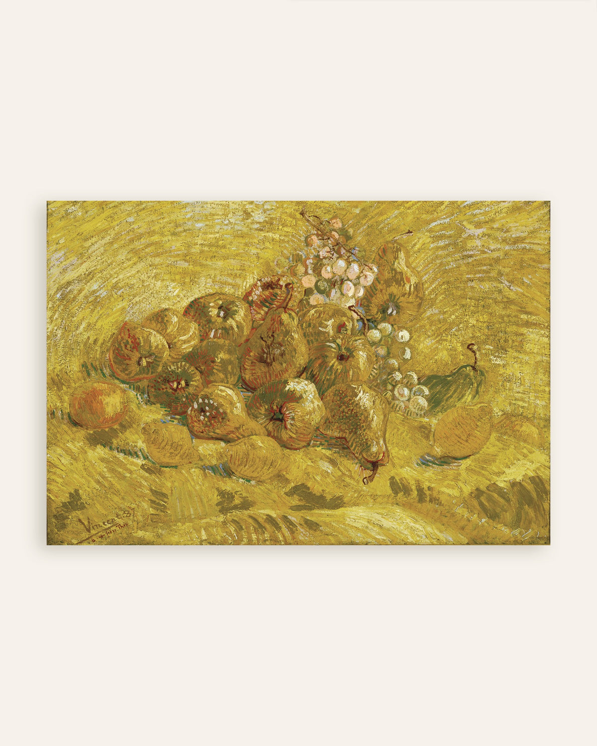 Poster di Cotogne, limoni, pere e uva (1887) di Vincent van Gogh, miniatura