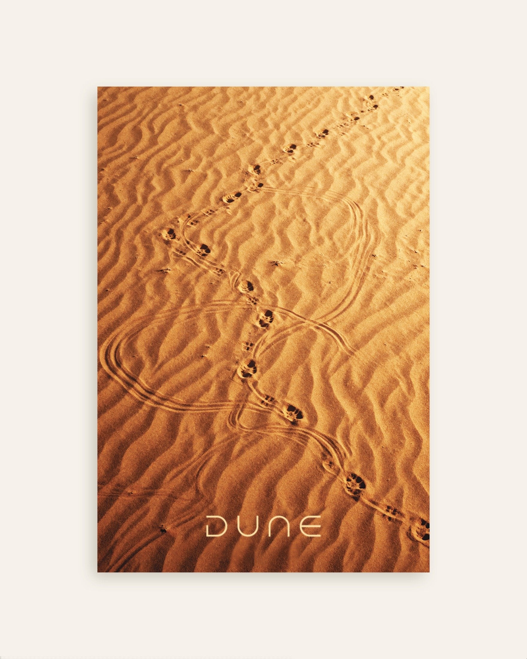 Poster of Sandwalk, Desert footsteps poster, thumbnail