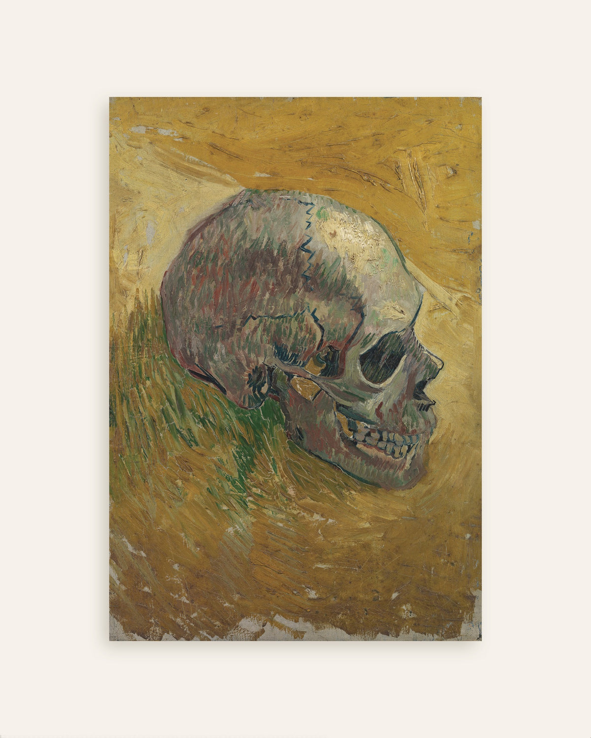 Poster di Teschio (1887) di Vincent van Gogh, miniatura