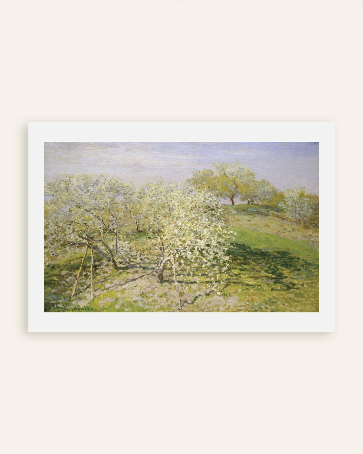 Poster Primavera, alberi da frutto in fiore (1873) di Claude Monet, miniatura