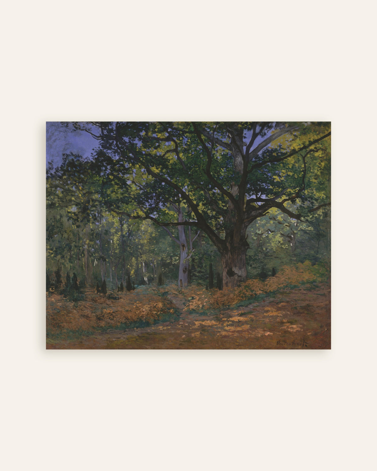 Poster La quercia di Bodmer, foresta di Fontainebleau (1865) di Claude Monet, miniatura