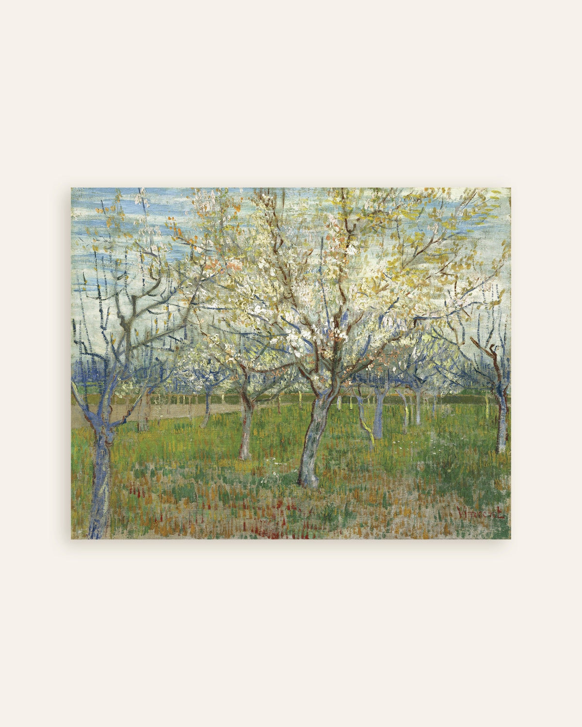 Miniatura del poster con Il frutteto rosa (1888) di Vincent van Gogh