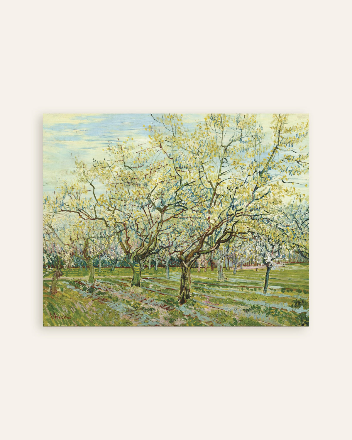 Poster de Il frutteto bianco (1888) di Vincent van Gogh, miniatura