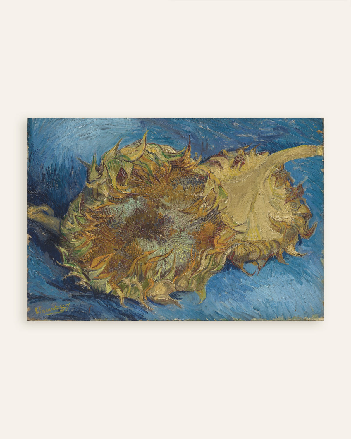 Poster di Due girasoli tagliati (1887) di Vincent van Gogh, miniatura