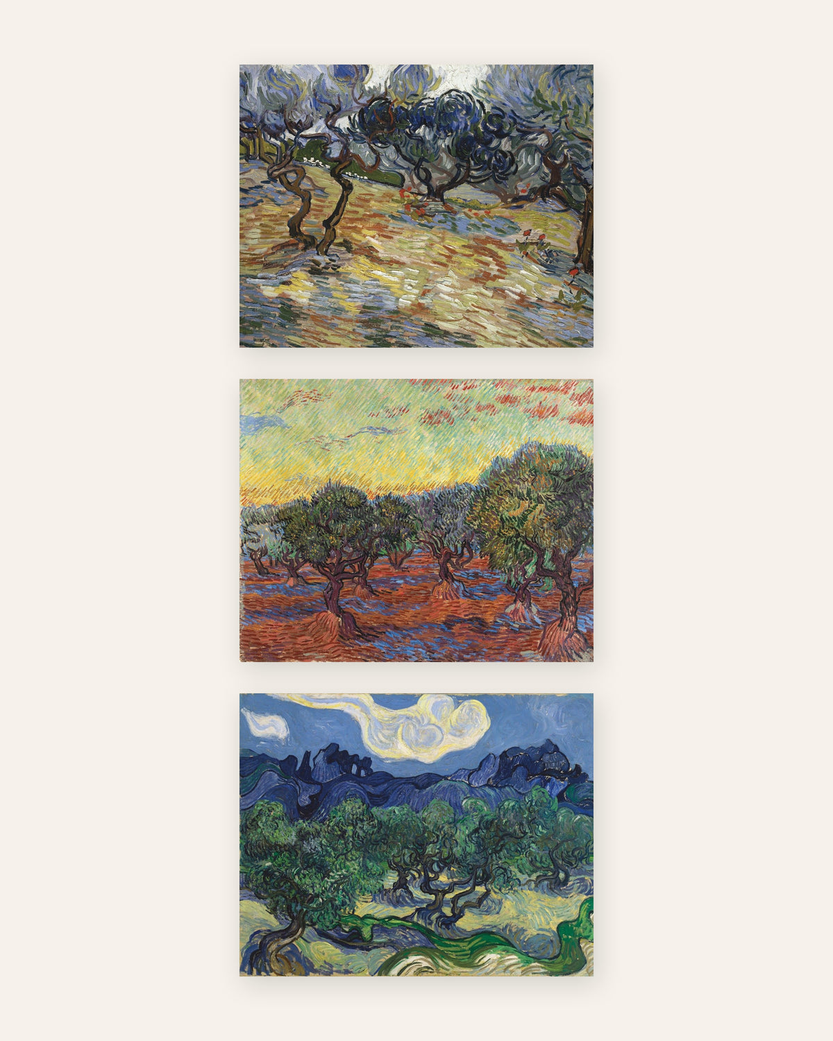 Poster Van Gogh ulivi, set da 3: gli uliveti di Saint-Rémy, senza cornice