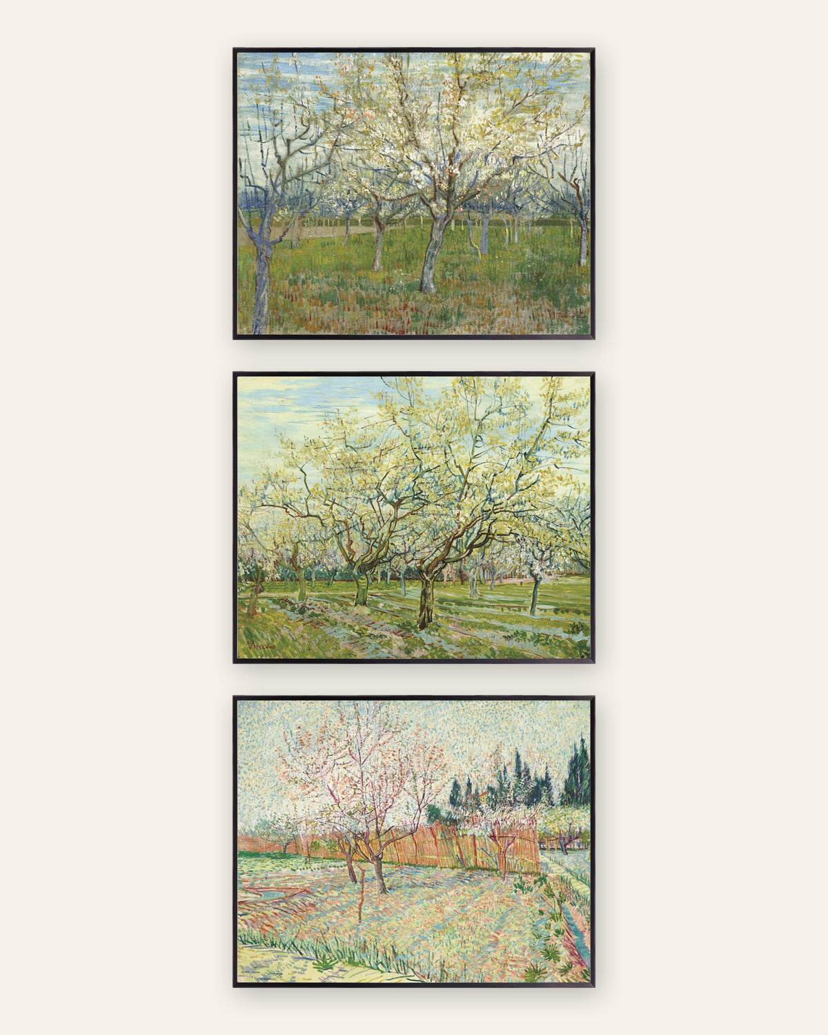 Poster Van Gogh frutteti in fiore, set da 3: rosa, bianco e con cipressi, con cornici in metallo nero