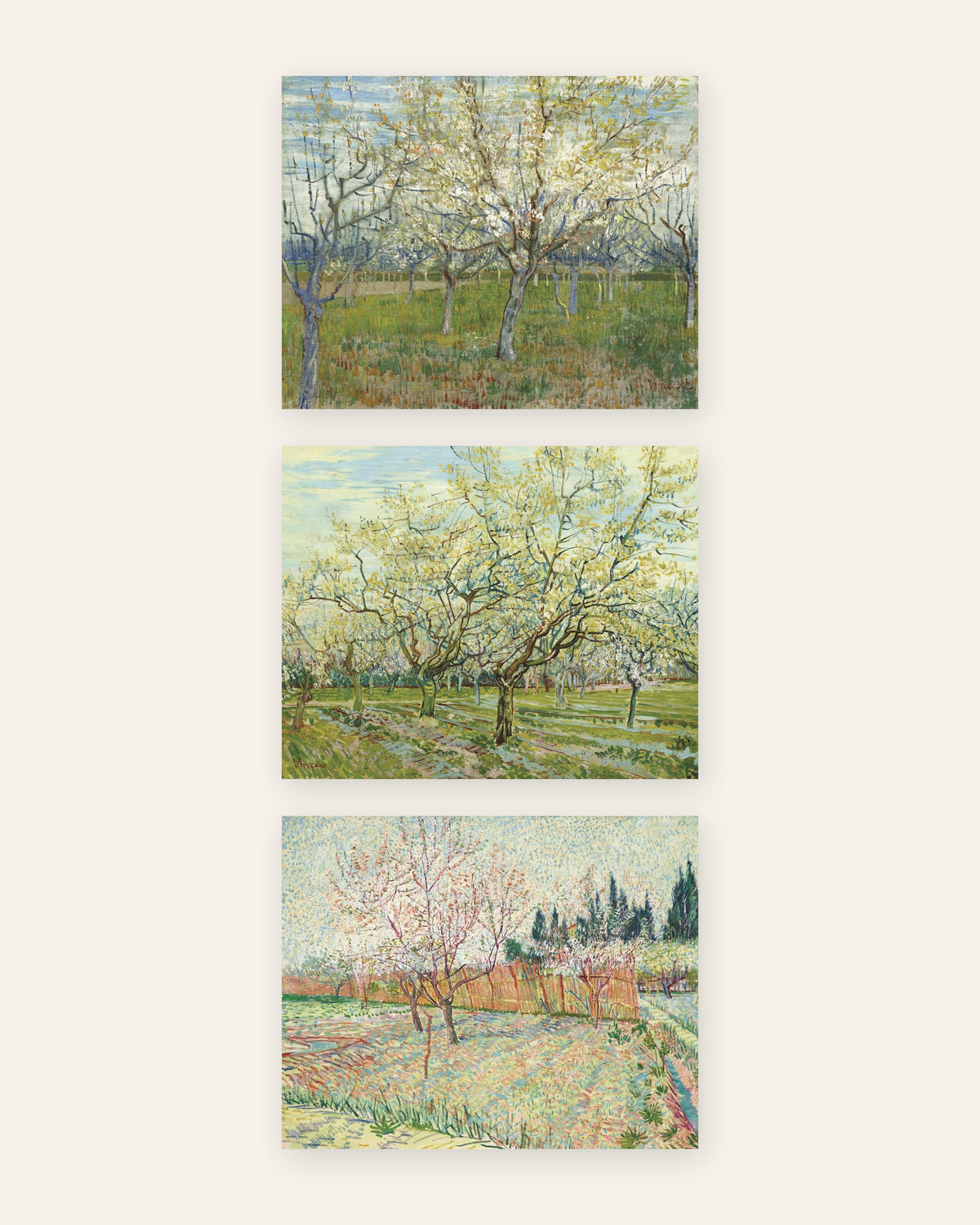 Poster Van Gogh frutteti in fiore, set da 3: rosa, bianco e con cipressi, senza cornice