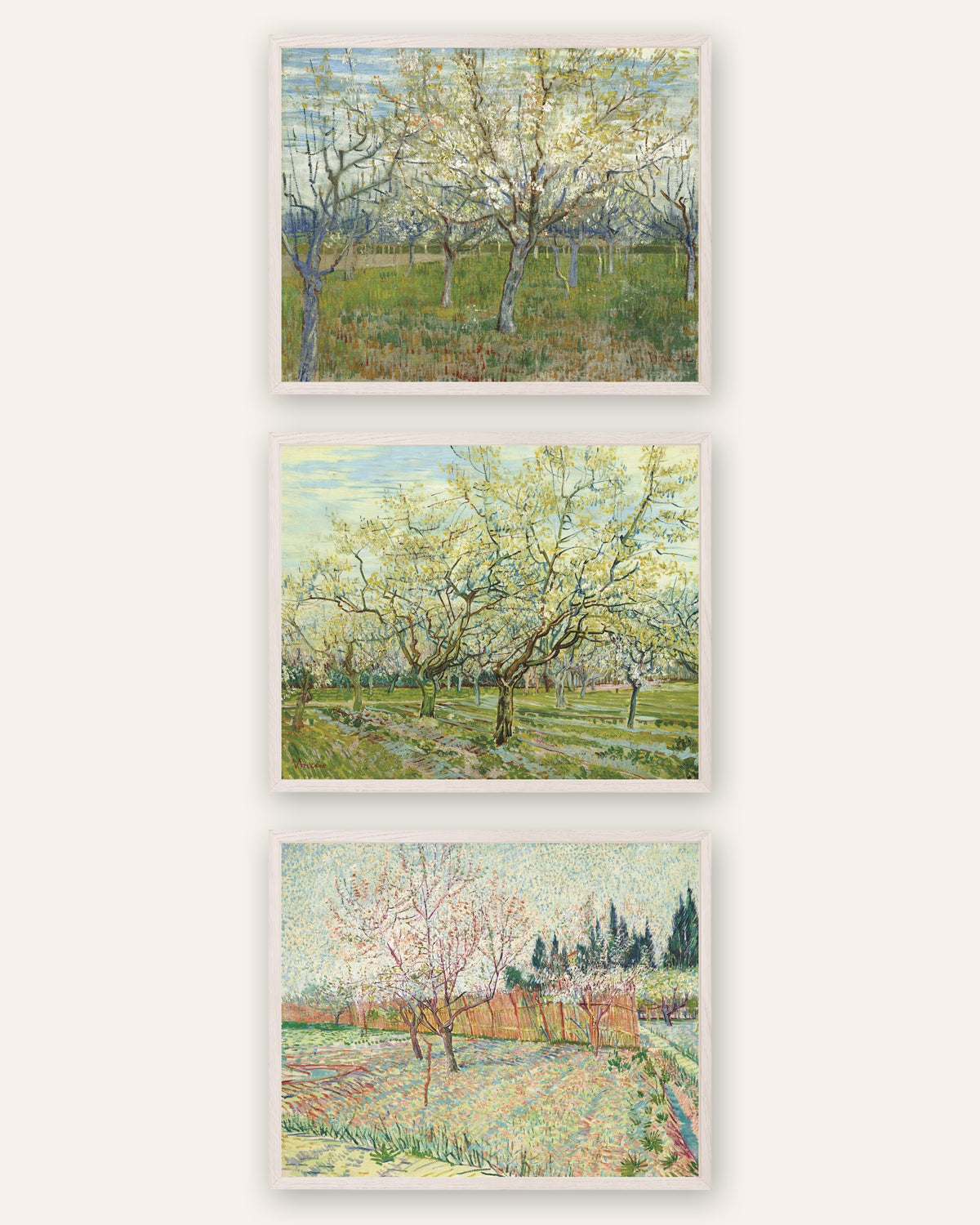 Poster Van Gogh frutteti in fiore, set da 3: rosa, bianco e con cipressi, con cornici in rovere bianco