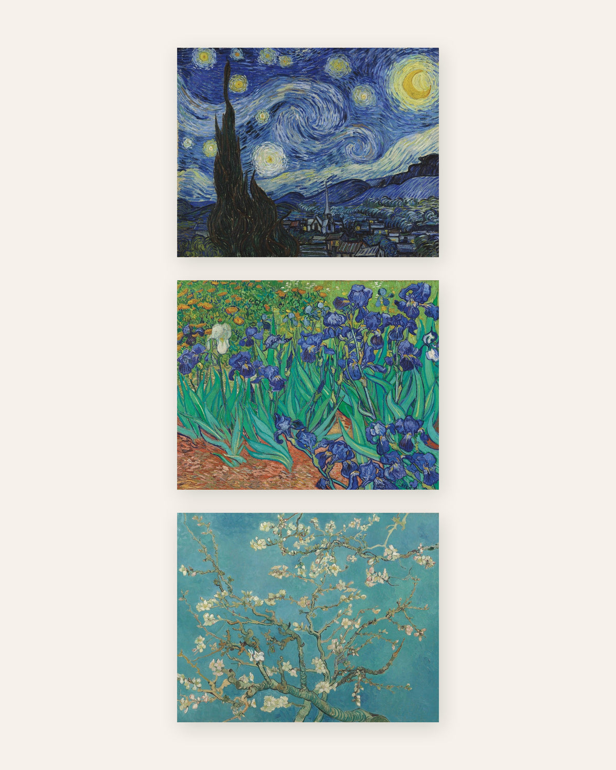 Poster Van Gogh, set da 3: Notte stellata, Iris e Ramo di mandorlo in fiore, senza cornice