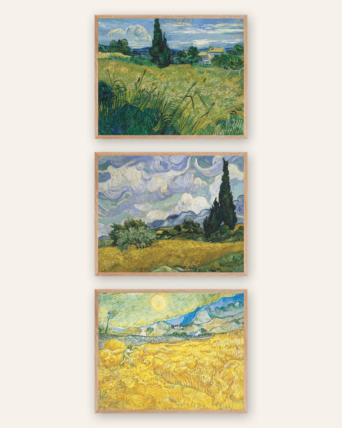 Poster Van Gogh campi di grano, set da 3: cipressi e mietitura, con cornici in rovere naturale
