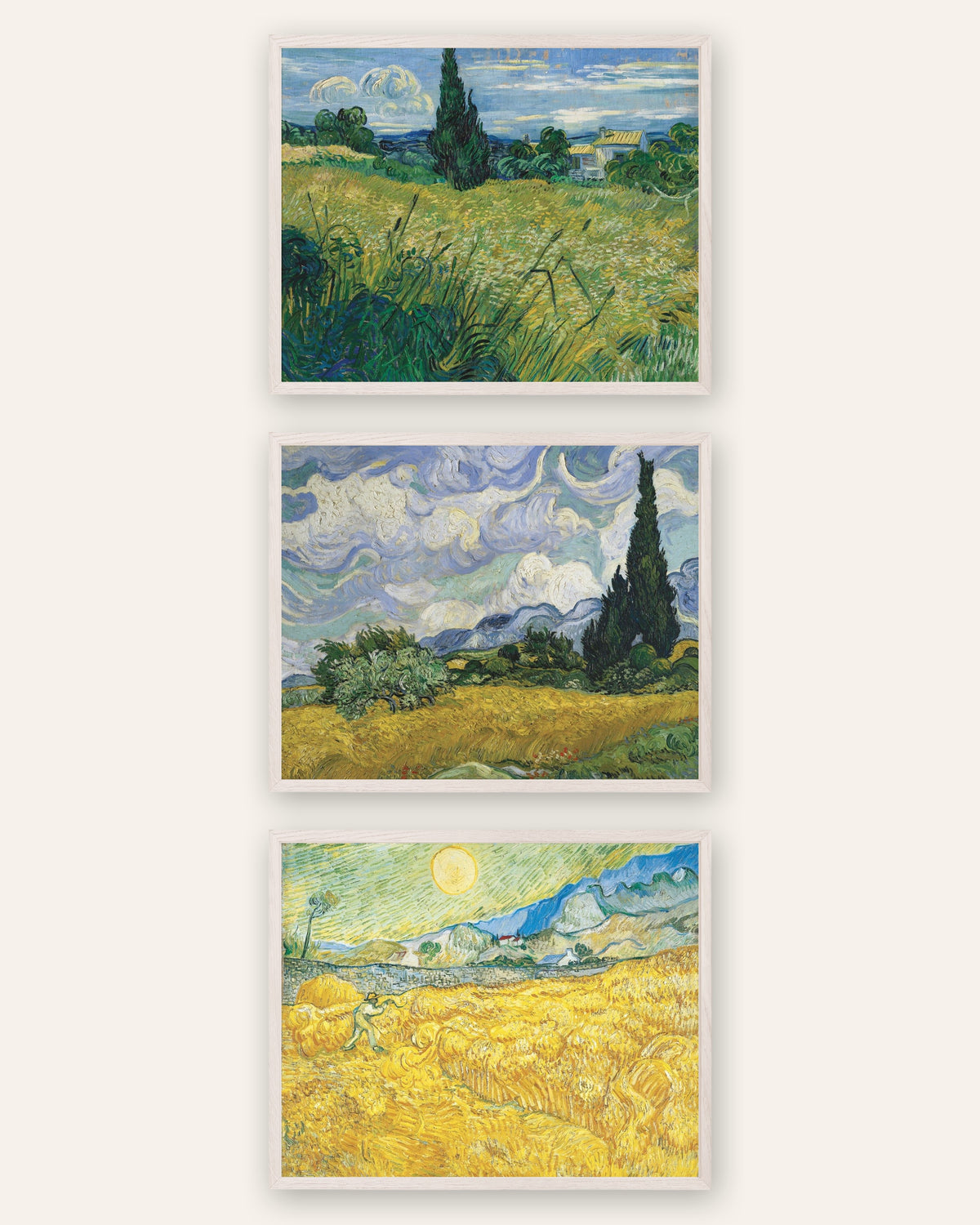 Poster Van Gogh campi di grano, set da 3: cipressi e mietitura, con cornici in rovere bianco
