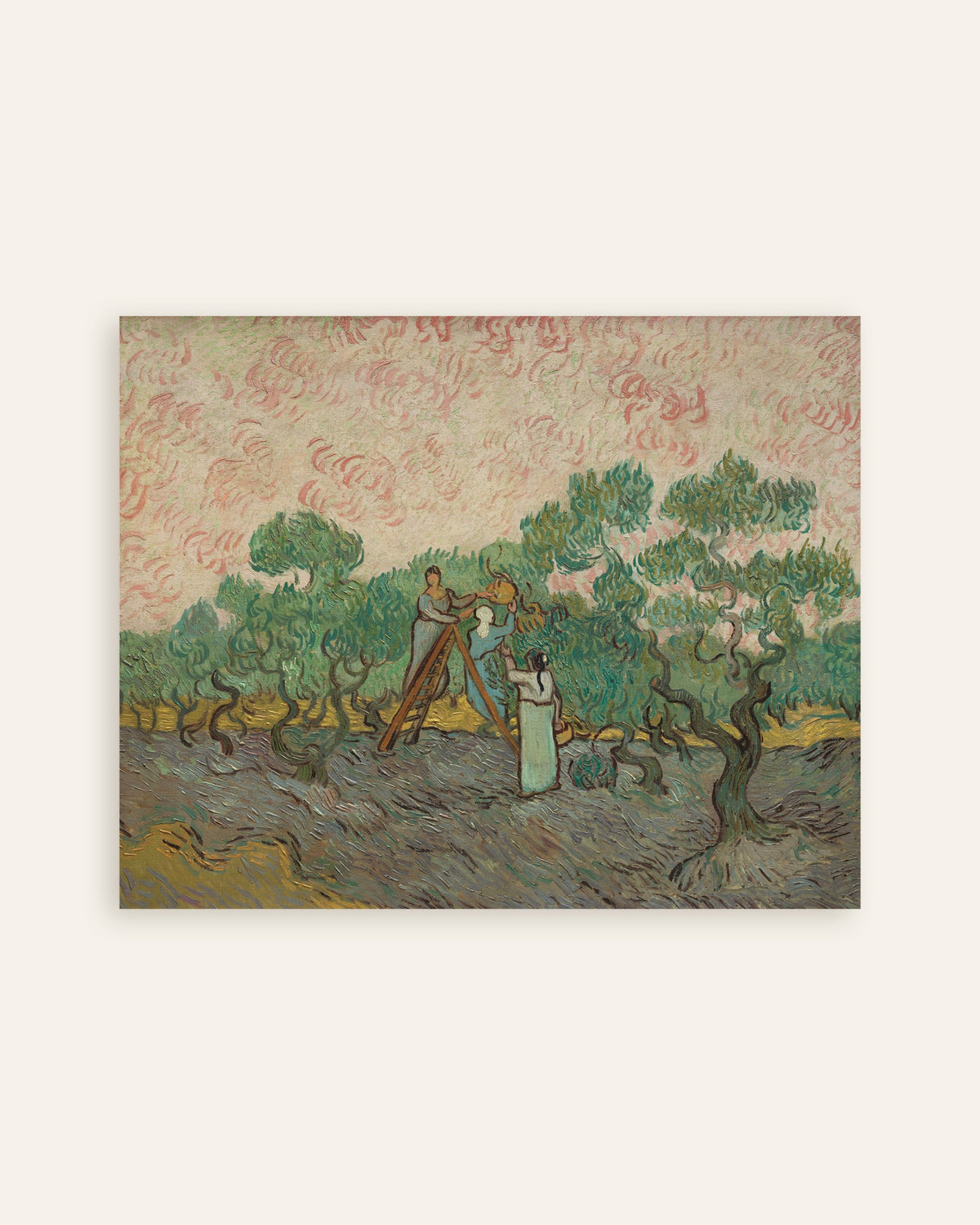 Poster di Donne che raccolgono olive (1889) di Vincent van Gogh, miniatura