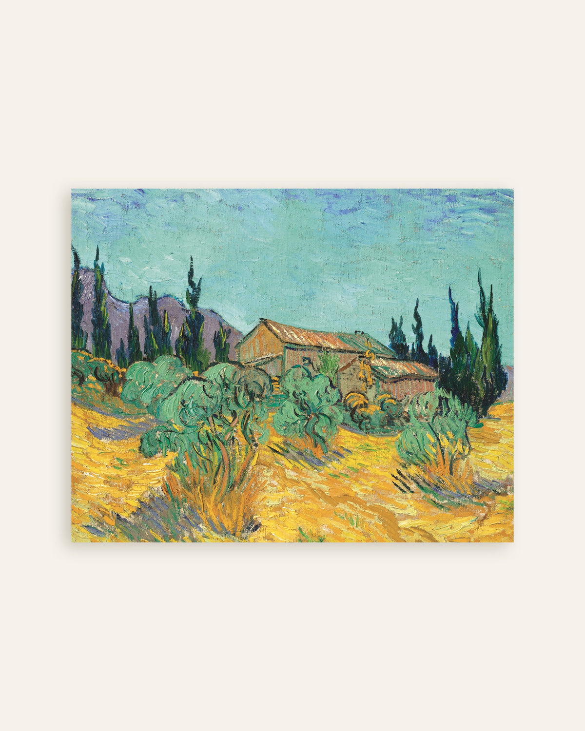 Poster di Capanni di legno tra ulivi e cipressi (1889) di Vincent van Gogh, miniatura
